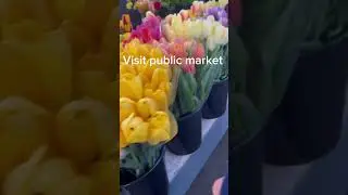 Seattle with kids! Top five things to do in a day! 