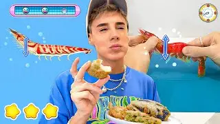Following a Cooking Mama Recipes In Real Life 4