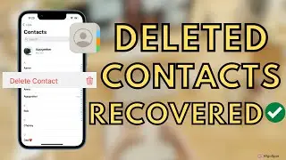 iPhone Numbers Recovery Guide| How to Retrieve Deleted Contacts on iPhone – iCloud, Google Contacts…
