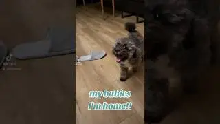 when mommy comes back from work
