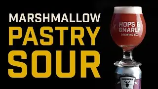 BEST Philly Sour Recipe Marshmallow Pastry Sour | Hops & Gnarly Home Brewery