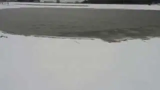 городское болото