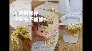 【抖音】方便面的妙用，一般人学不会！牛人用食材修补桌椅......