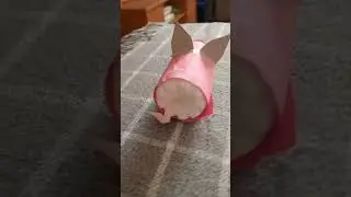 новая рубрика лайк за хрюнделя 