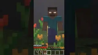 Not today #minecraft #memes #herobrine #gaming #videogamememes #jumpscare