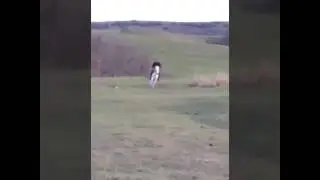 AZERİ TÜRK