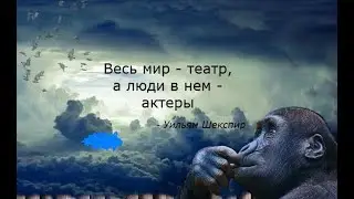 Суд. Трагикомедия. Акт третий.