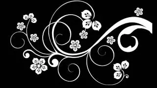 Video Copilot BM_Evolution_UDS Flourish_29 For After Effects