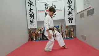 Базовые стойки в Киокушин карате.