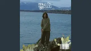 звезда