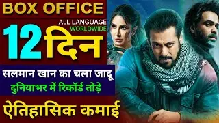 Tiger 3 Box office collection, tiger 3 collection day 11, Salman Khan, Katrina Kaif, 