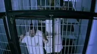 Arpaviejas-ahora duermen los preS.O.S.