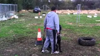 Hispano training heeling backward