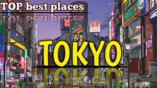 The 8 best places to take pictures in tokyo || top things to do in tokyo || places to go in tokyo