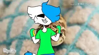 ////The snake dance meme////🔥🔥
