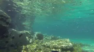 My Homebuilt ROV Along Marathonas Jetty, Aegina Island.
