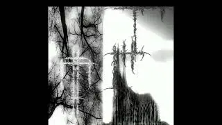lxnelytears - GDS WALK SNIPPET/ KRUSH PHONK XDXD