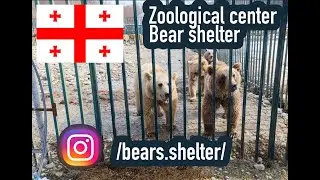 🇬🇪 🐻 Zoological Center Bear Shelter. Georgia, Tskhvarichamia