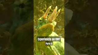 ¿Te ha comido un Camaleón? https://youtube.com/watch?v=I9O4C-JmvKQ&feature=share7