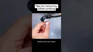 Everything You Need to Know