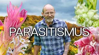 PARASITISMUS | Die Kunst des Lebens auf Kosten Anderer