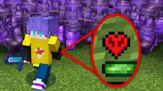 I DOMINATED A SERVER WITH 1 HEART IN MINECRAFT