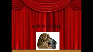 Смешные виды шлёп