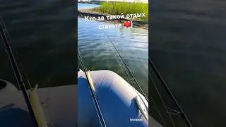 #жизнь#пруды#fish#рыбный#щука#рыбалка#отдых