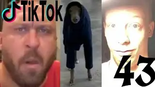 Мемо-клипы из тиктока. Часть 43