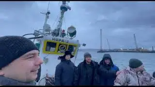 Атакуют морские котики! Ловлю треску.
