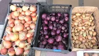 Обрезали для хранения чеснок и лук, итоги сезона.