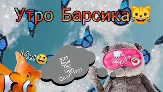 Утро Барсика🐱, Наш влог, /Basic&Barsic.