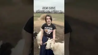 YOU MUST NOT EAT ANIMALS 😂 