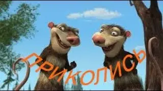 Смешные Видео. Прикольные. Видео. Подборка.