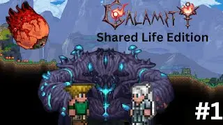 Terraria Calamity but we share a life