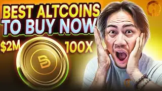 Best Altcoins to Buy Now | BlockchainFX Presale Explained!