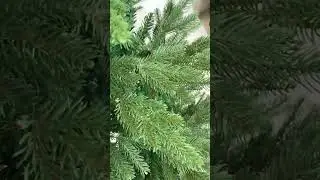 Елка GreenTerra "Милтон"