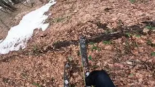 Последний день Альпики, часть вторая