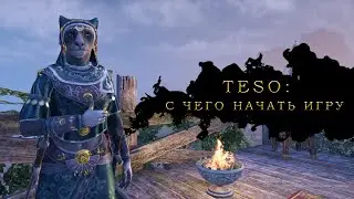 Eso: с чего начать, что делать после создания персонажа