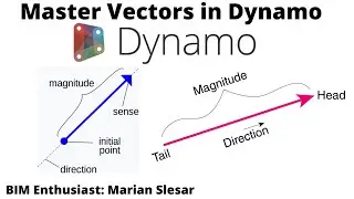 Master Vectors in Dynamo | Essentials | Part 1