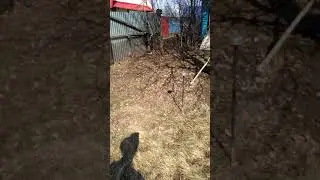 Пакапал блять