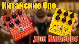 Обзор Caline CP-60 Wine Cellar и CP-59 Press Bass