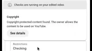 Restrictions | Checking