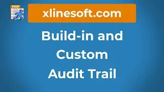 Build-in and Custom Audit Trail