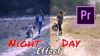 Create Realistic Day for Night Effect ✔ Professional Video Editing - Adobe Premiere Pro CC 2020