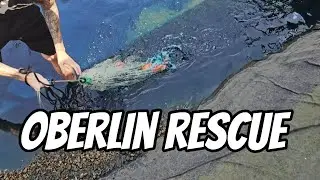 Oberlin Rescue