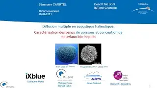 Benoit TALLON , Conférence CARRTEL du 29/01/2021
