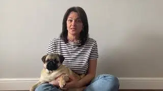 Питомец в доме🐕 (с аудио)