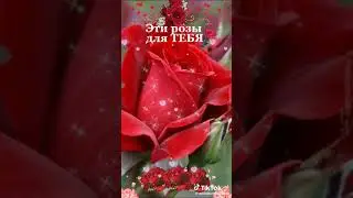 10 сентября 2024 г.