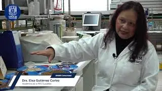 Peliculas Biodegradables